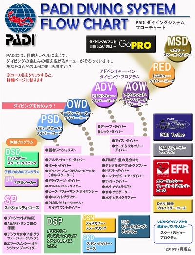 PADIダイビングライセンスフローチャート