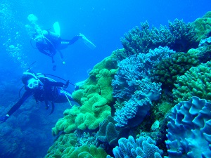 沖縄のダイビングポイント